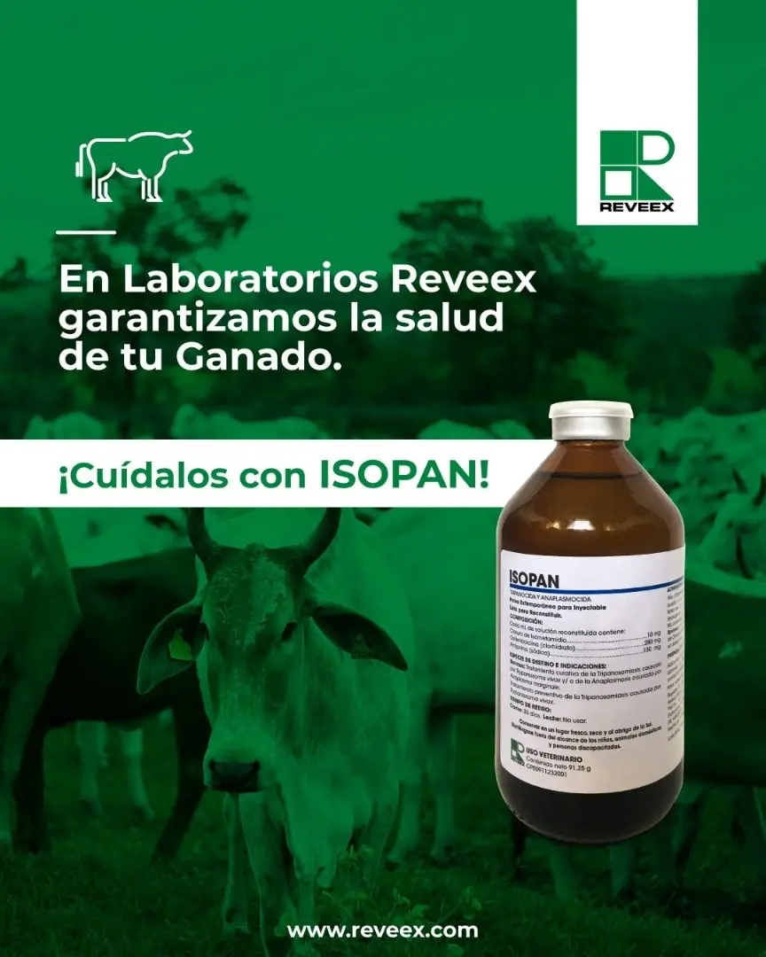 Isopan